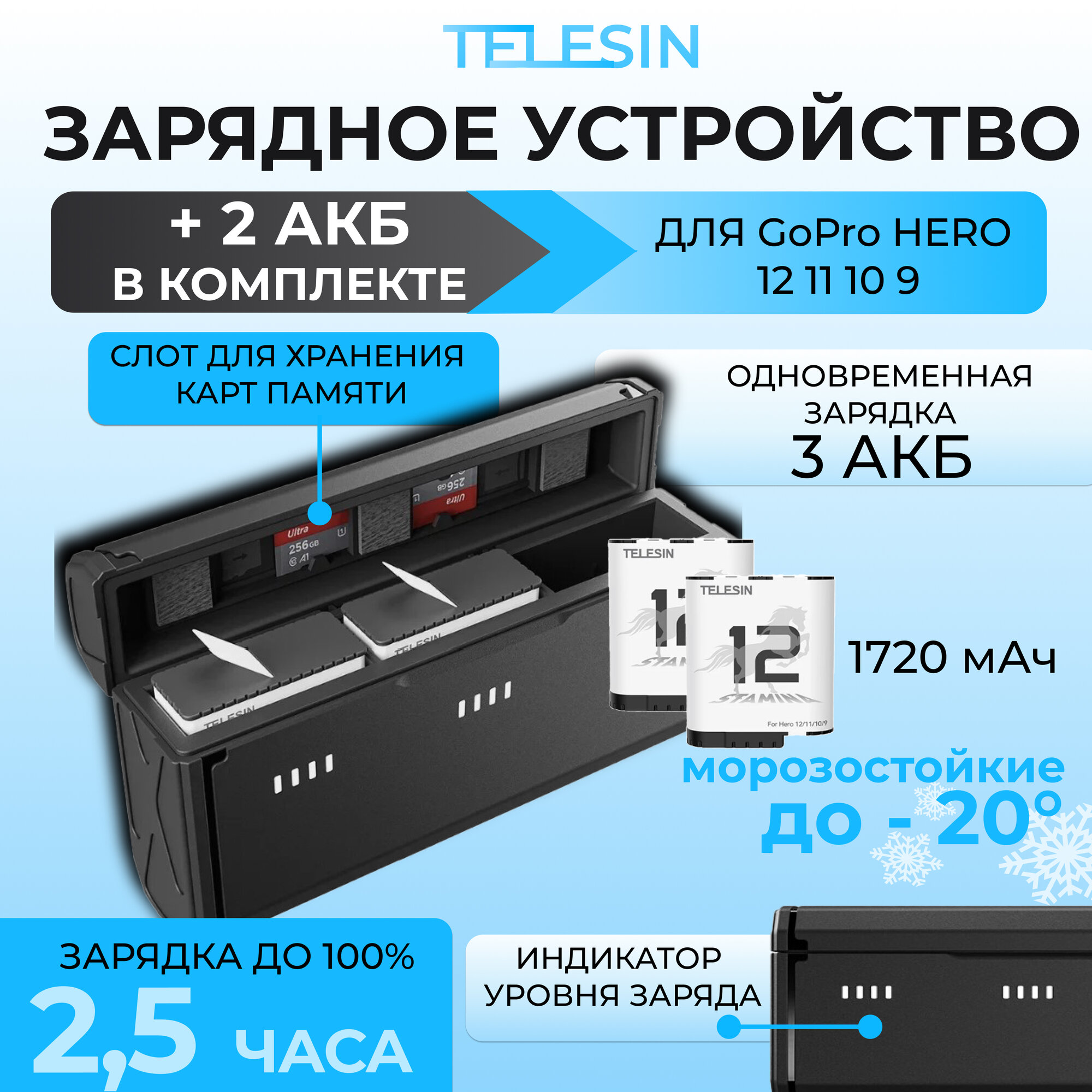 Зарядное устройство+2 морозоустойчивых АКБ
