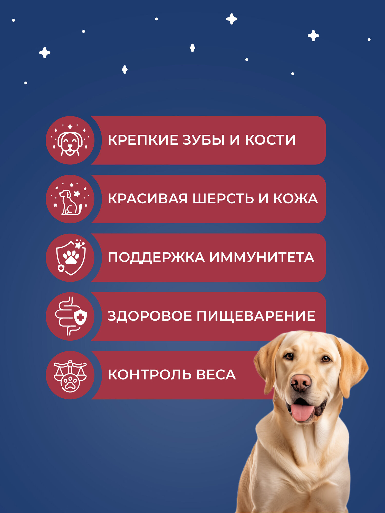 Dog`s Menu Adult HOME 10 кг полнорационный сухой корм для домашних собак всех пород с индейкой — фото 1