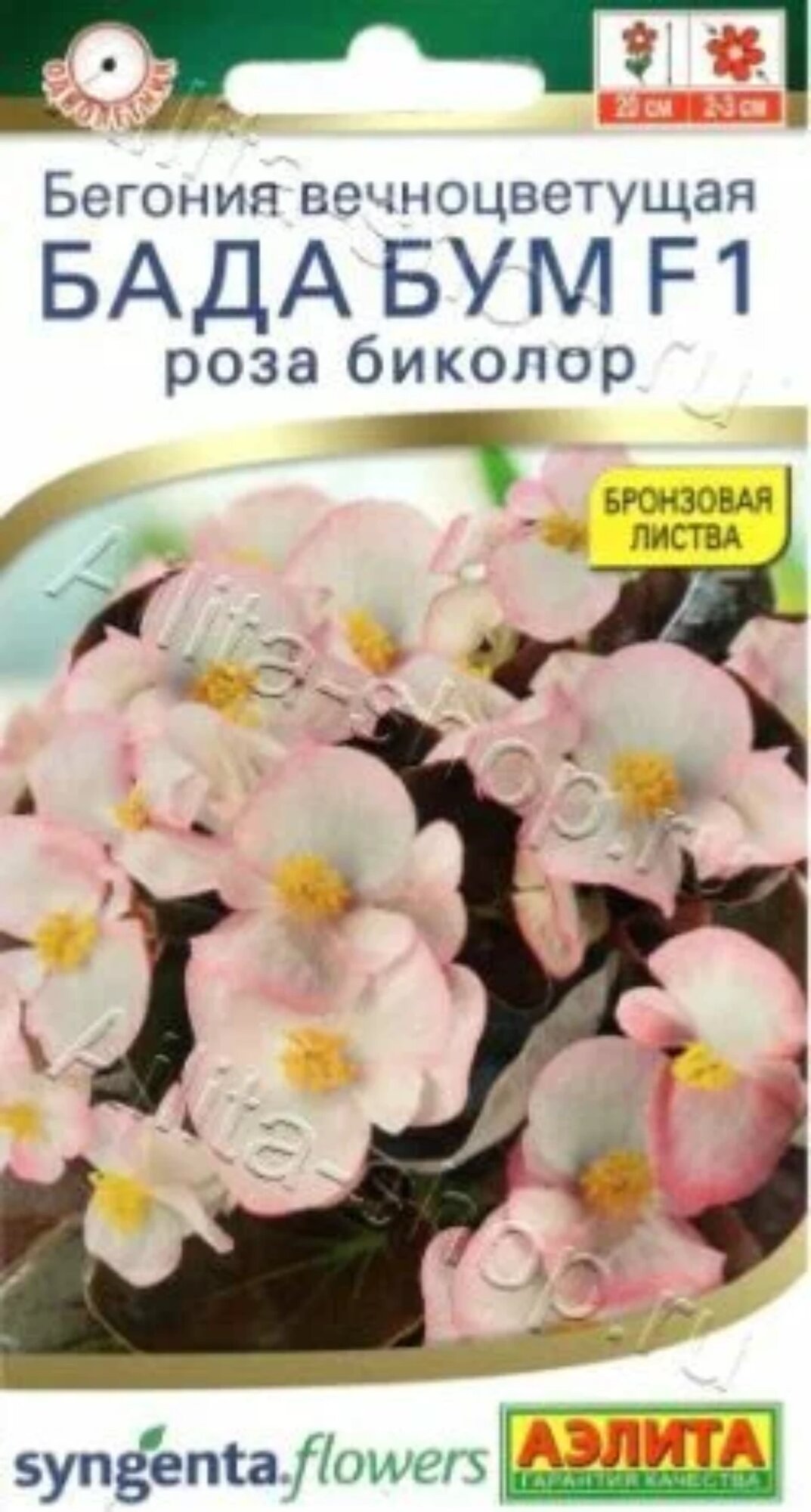 Бегония вечноцветущая Бада бум роза биколор F1 ( 3 упаковки )  семена