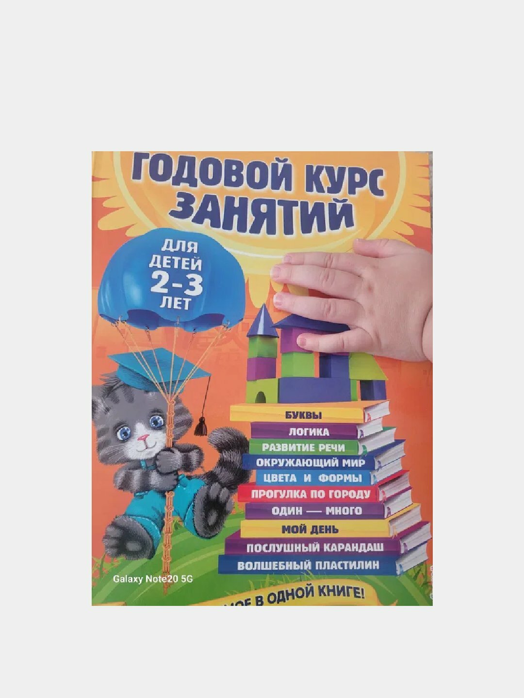 Годовой курс занятий, для детей 2–3 лет | Анастасия Далидович и Таисия Мазаник Михайловна
