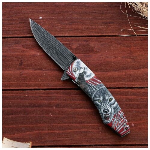 фото Мастер клинок нож складной "вожак" сталь - 95х18, рукоять - венге, 23 см