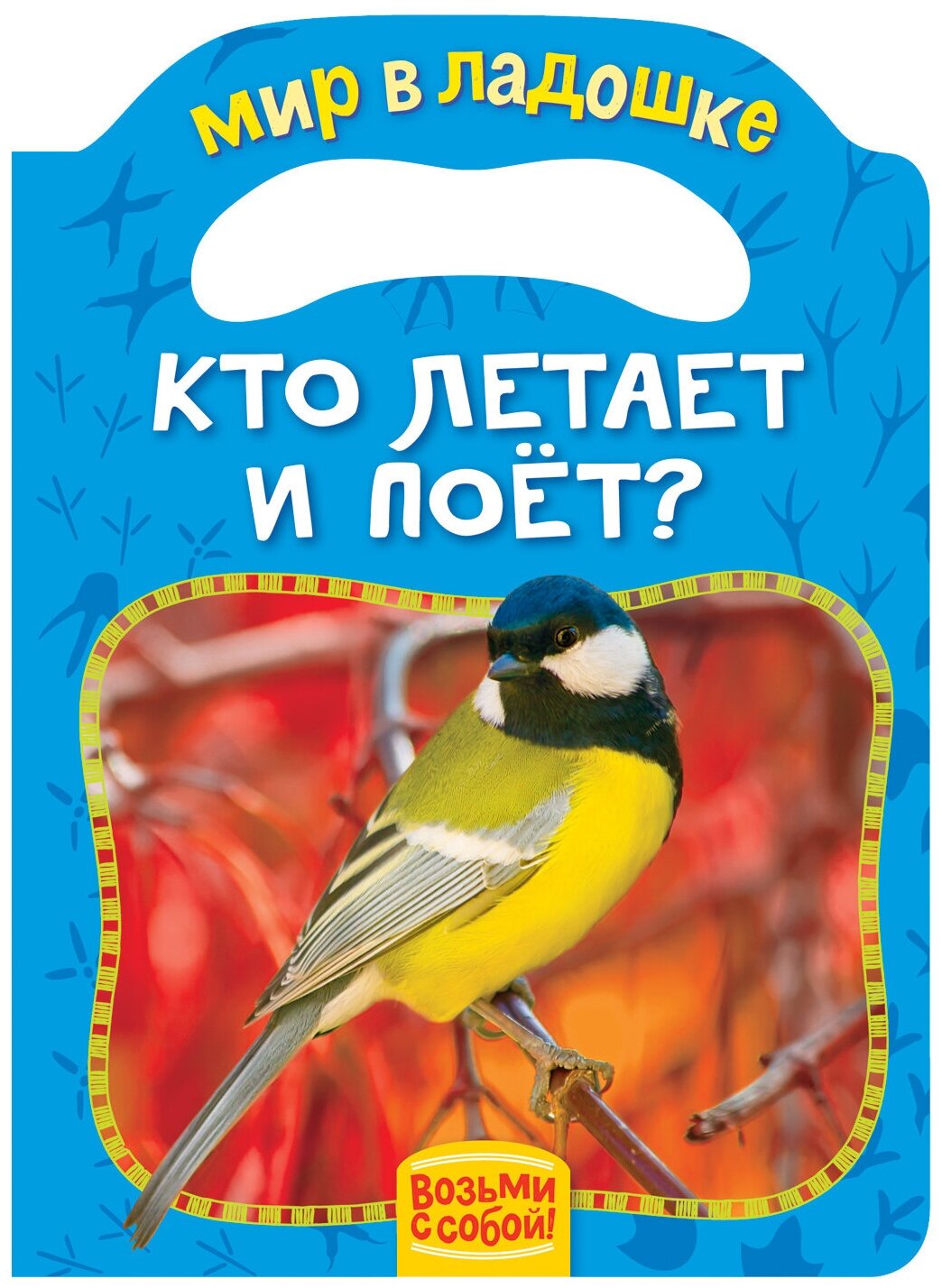 Книга. Мир в ладошке. Кто летает и поет?