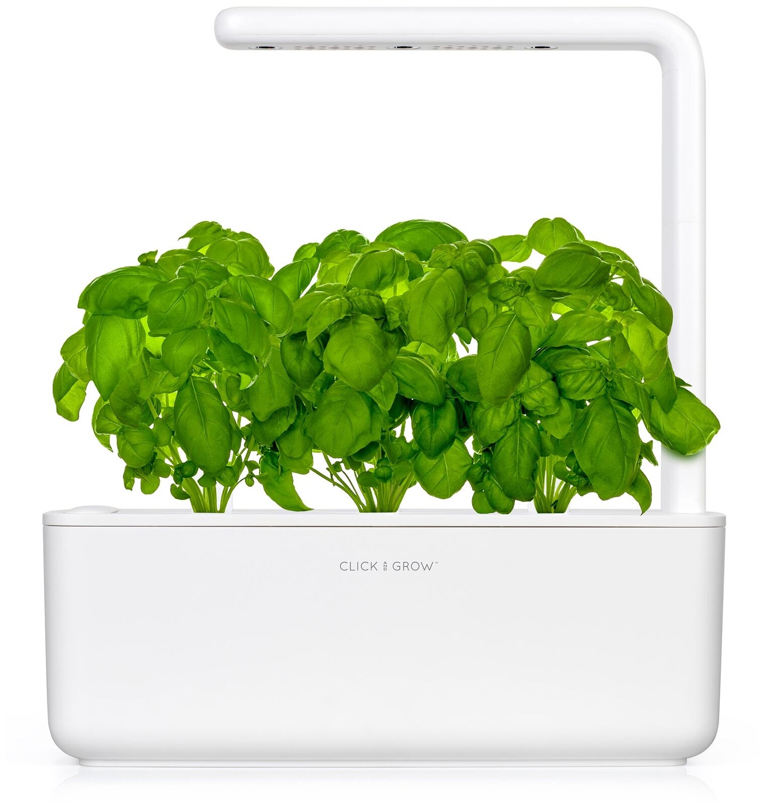 Набор для выращивания Click & Grow Smart Garden 3 Базилик, белый