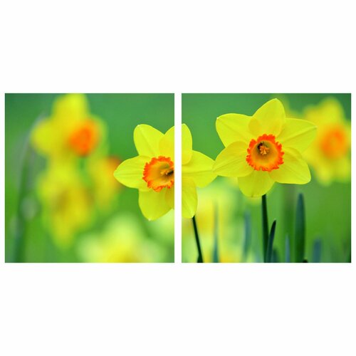 Модульная картина Желтые цветы 4 Размер 48х99см 48х4848х48 2109₽