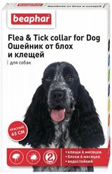 Beaphar ошейник от блох и клещей Flea & Tick для собак, 65 см, красный