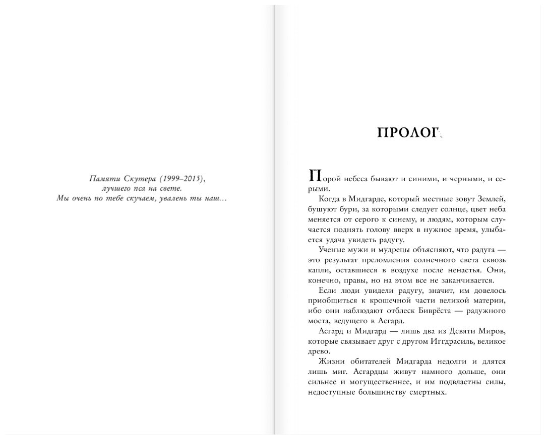 Истории Асгарда. Трилогия (ДеКандидо Кит Р.А.) - фото №5