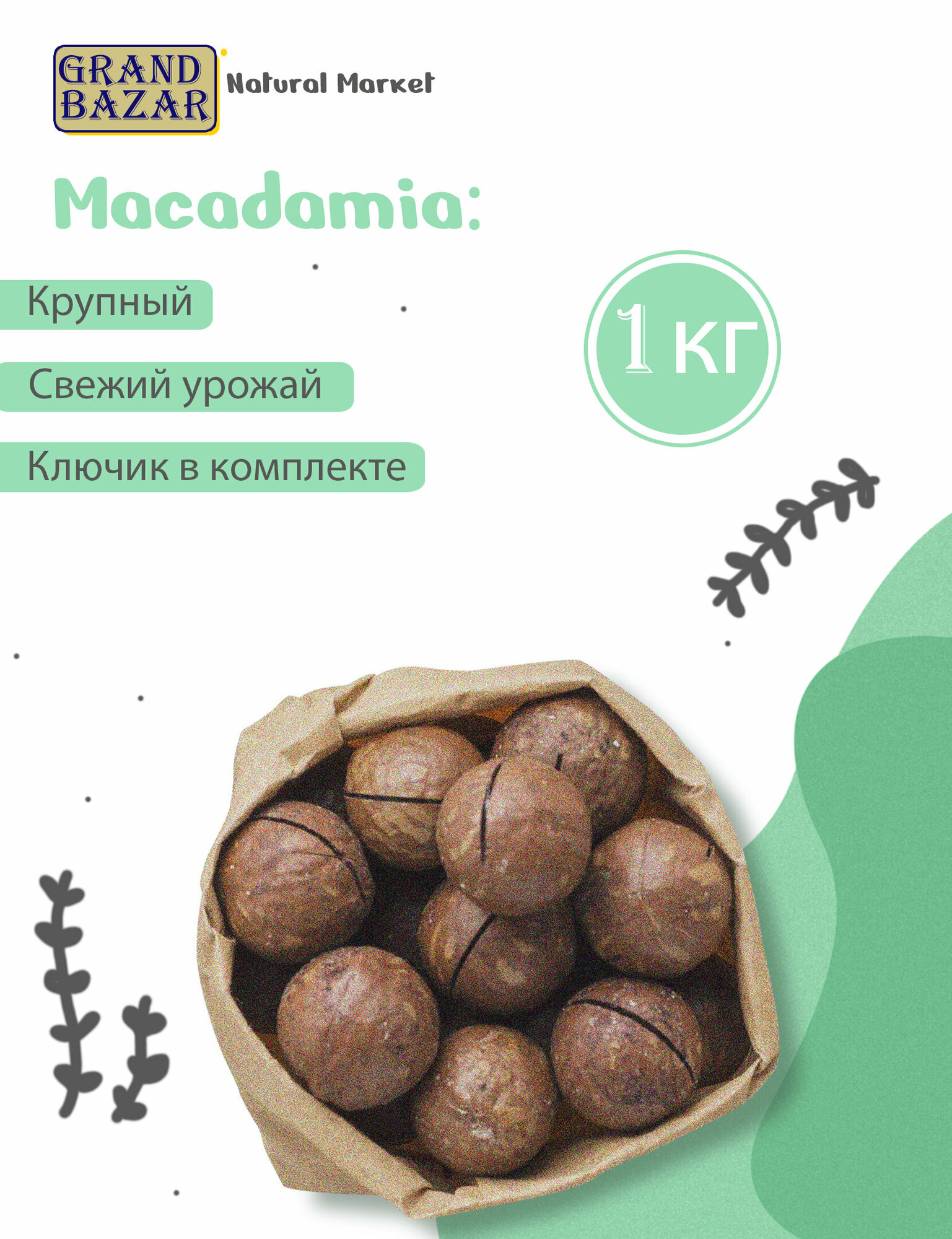 Макадамия орех в скорлупе калибр 3А с ключиком, 1000 гр - фотография № 2