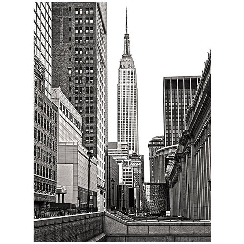 Фотообои/C коллекция Фотообои/C коллекцияЛев этно 200х270 см