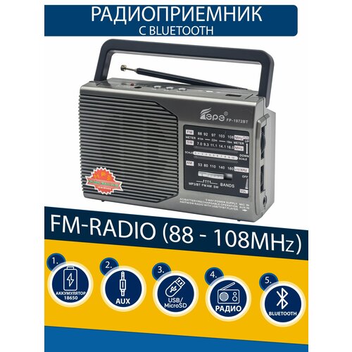 Радиоприемник EPE FP-1972BT USBmicroUSBBluetooth silver 135200₽