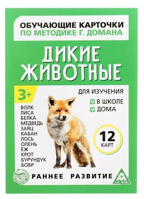 Обучающие карточки по методике Г. Домана «Дикие животные», 12 карт, А6