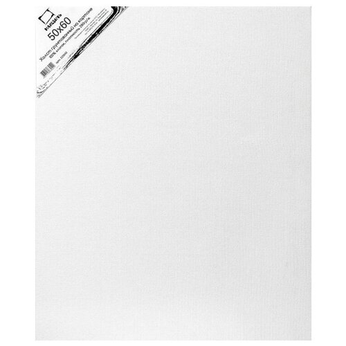 Холст Малевичъ на картоне 50x60 см (225060) белый