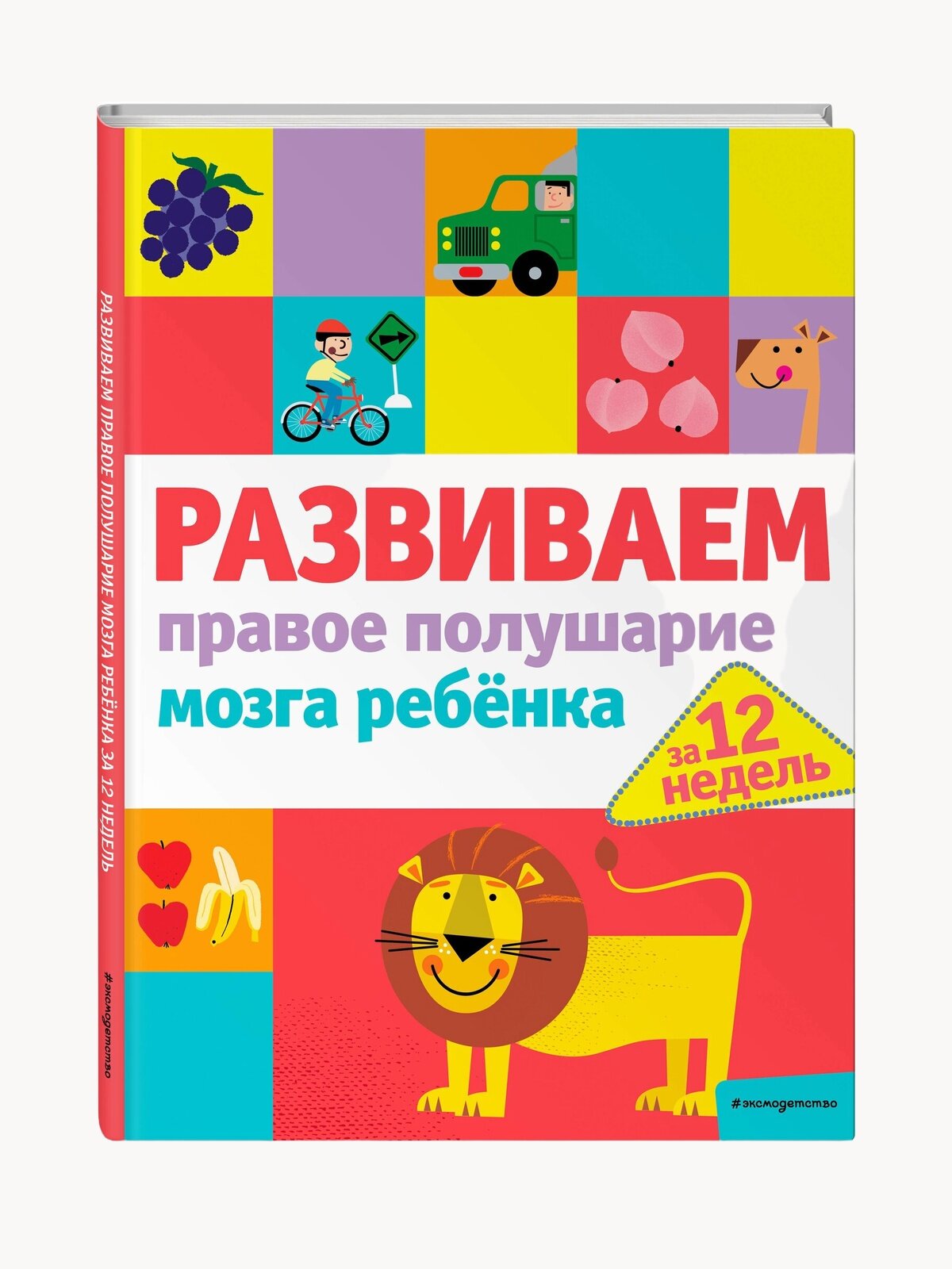 Развиваем правое полушарие мозга ребенка за 12 недель