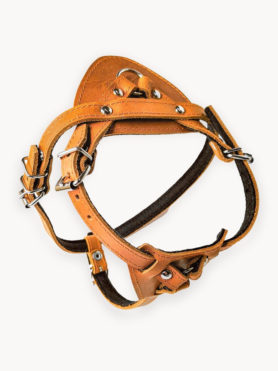 Шлейка кожаная для собак средних и крупных пород / Светло-коричневый / ширина 14 мм