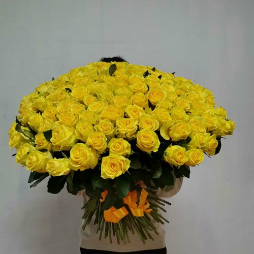 Букет из 101 жёлтой розы 50 см