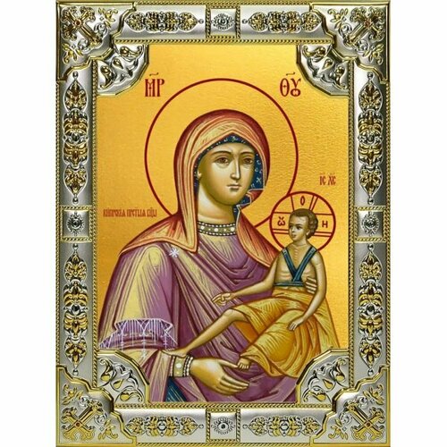 Икона Божьей Матери Кипрская серебро 18 х 24 со стразами, арт вк-3166