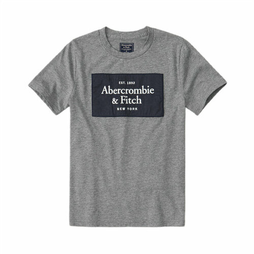 Футболка Abercrombie & Fitch, размер L, серый