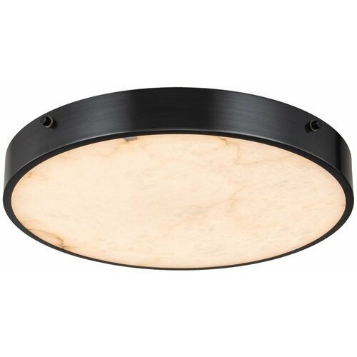 Потолочный светильник Belfast Devon 3395-4 BL MB 33490₽