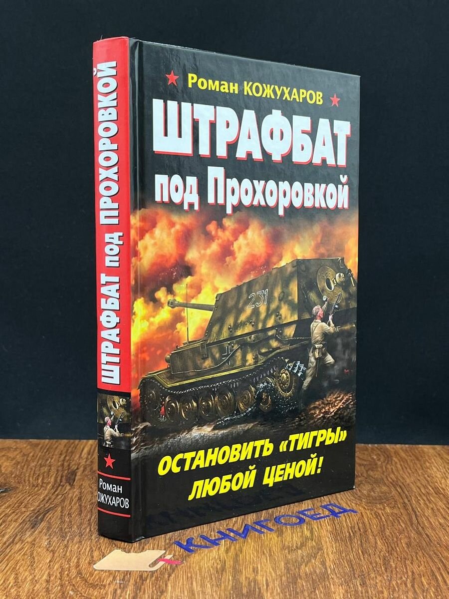 Штрафбат под Прохоровкой. Остановить Тигры любой ценой! 2013