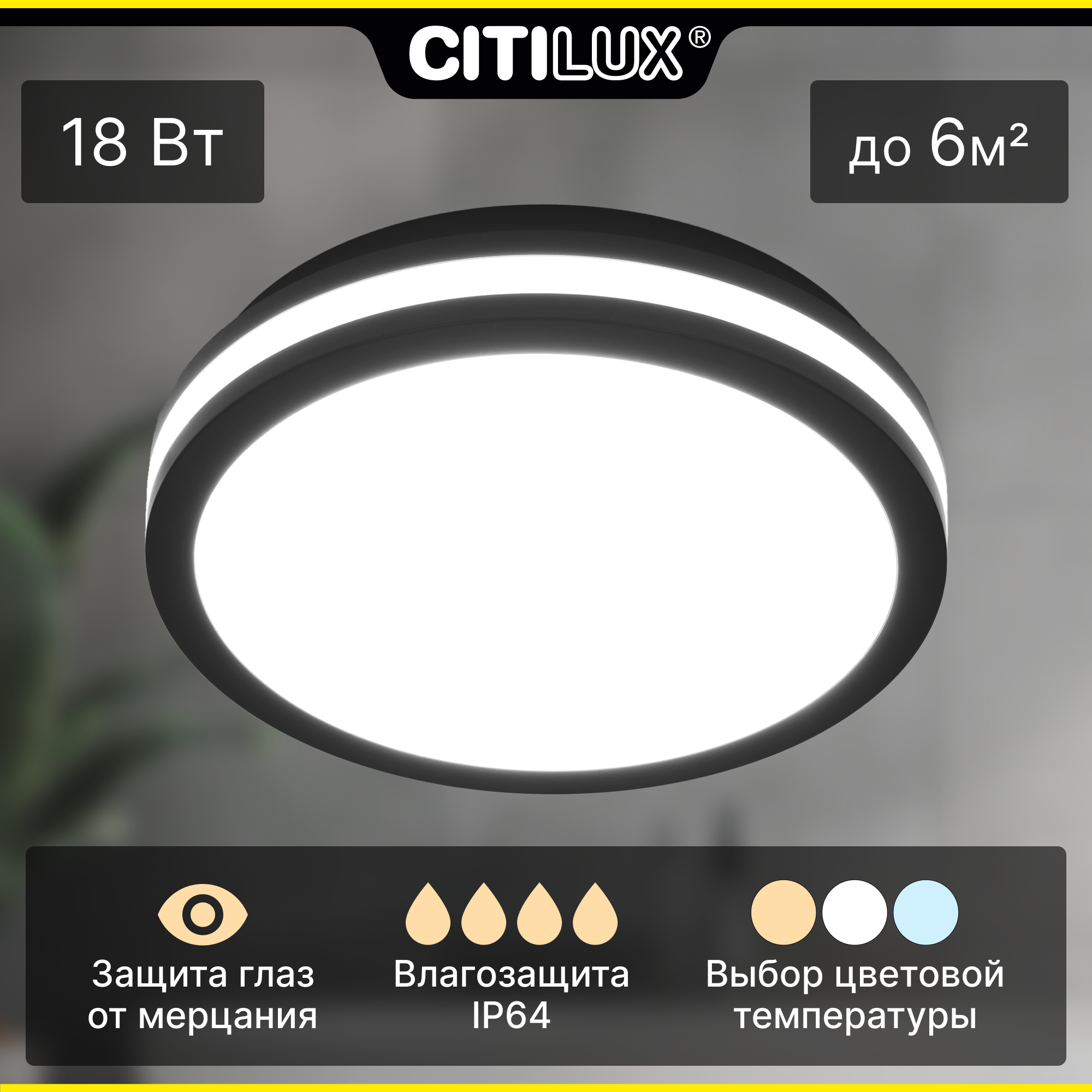 Citilux LUNS CL711011V LED Светильник влагозащищённый Чёрный