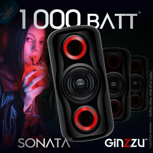 Портативная беспроводная блютуз колонка SONATA / Акустическая система MIDI GM-233 Professional Sound с функцией Bluetooth v5.0, Гарантия 2 года, 100Вт RMS, USB, microSD, TWS, FM-радио, пульт ДУ, караоке, микрофон в комплекте, подсветка