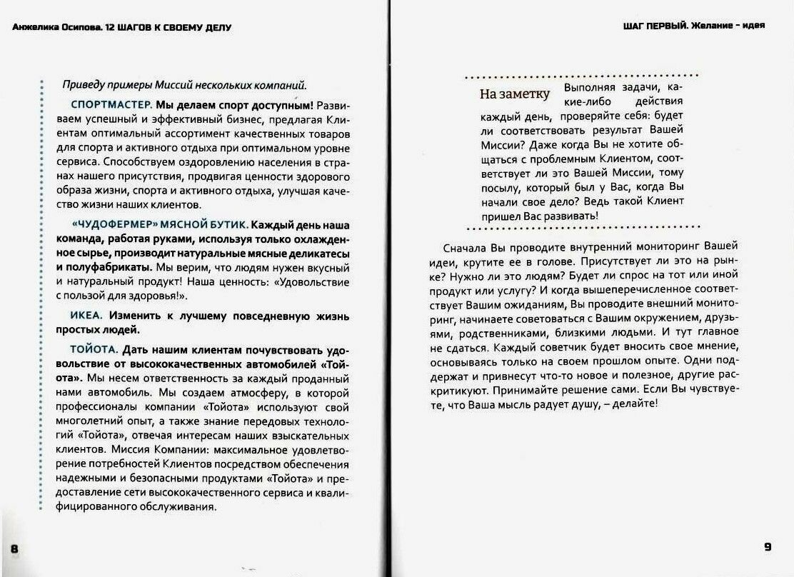 12 шагов к своему делу. Пособие для начинающих бизнесменов