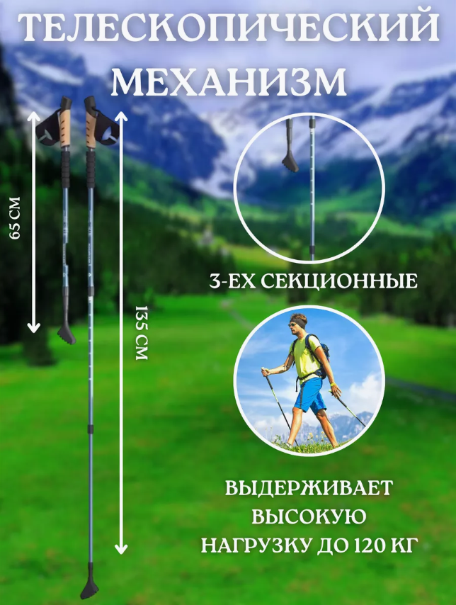 Палки для скандинавской ходьбы STC WALKER алюминиевые телескопические (100-135 см)