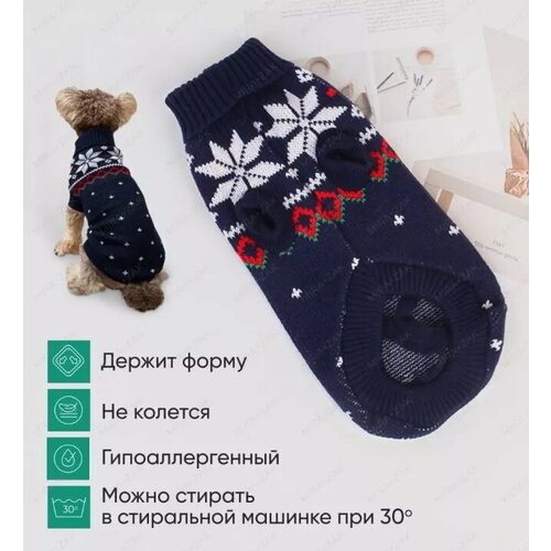 Кофта - свитер bro style для мелких пород собак и кошек размер xl