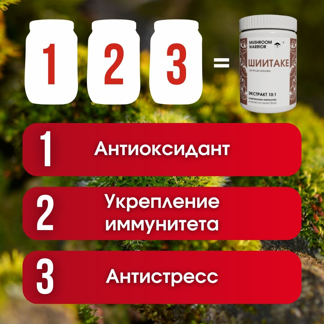 Картинки Шиитаке дробный экстракт 10:1, 60 капсул, натуральный иммуномодулятор, Mushroom Warrior, комплексная пищевая добавка