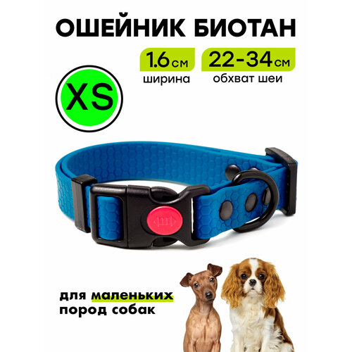 Ошейник из биотана 22-34 см (XS), 16 мм, Woofy "Iron", для маленьких собак, водостойкий, синий