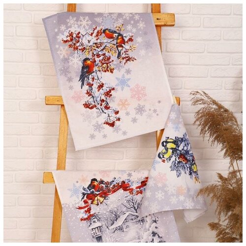 фото Набор полотенец рогожка морозко (в коробке) 45х60см-3шт, хл100%, 170г/м2 7102310 domovita