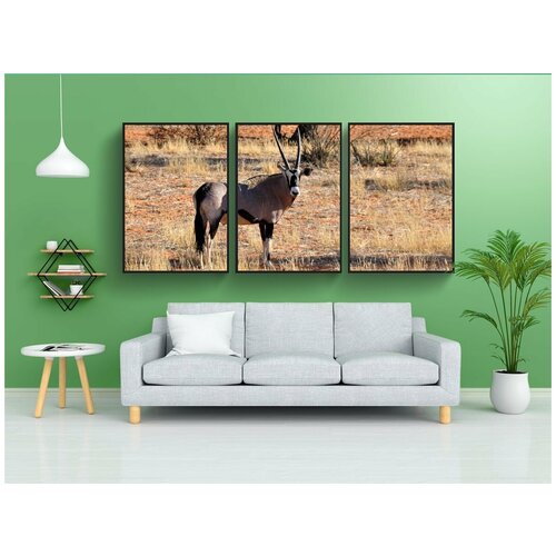 фото Набор модулных постеров для интерьера "орикс, африке, намибия" 60x90 см. в тубусе, без рамки lotsprints