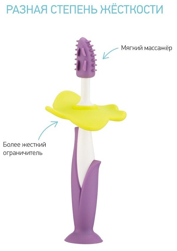 Набор: щетки детские зубные массажер для десен FLOWER от ROXY-KIDS 2 шт, цвет сиреневый