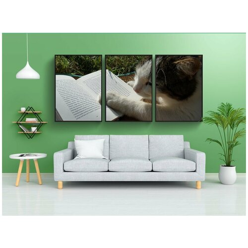 фото Модульный постер "чтение, книга, кошка" 180x90 см. из 3х частей в тубусе, без рамки lotsprints