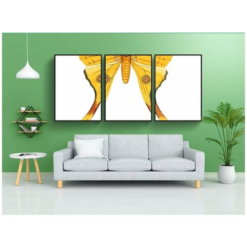 фото Набор модулных постеров для интерьера "бабочка, животное, насекомое" 60x90 см. в тубусе, без рамки lotsprints