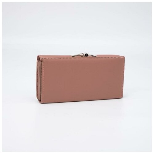фото Кошелёк на магнитах, цвет пудра нет бренда