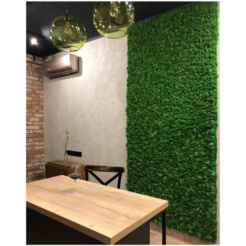 Стены из мха Дом Мха – MossArt