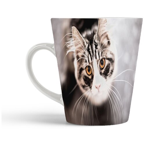 фото Кружка-латте coolpodarok кошка смотрит на верх