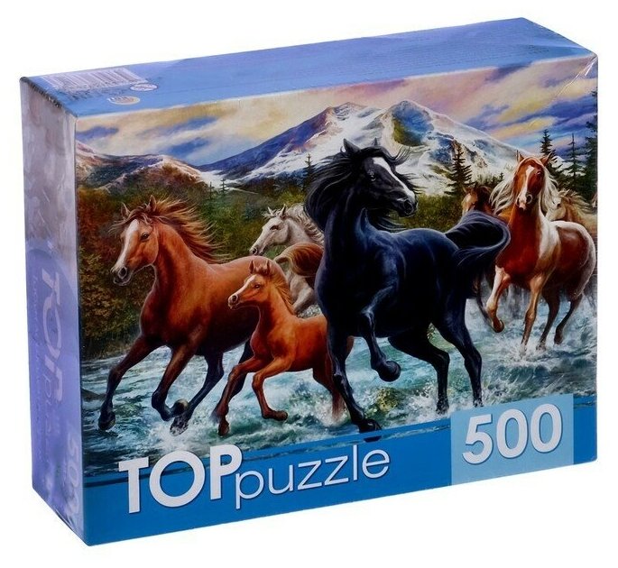 TOPpuzzle-500 "Табун лошадей в горах" (ХТП500-6812) Рыжий кот - фото №1