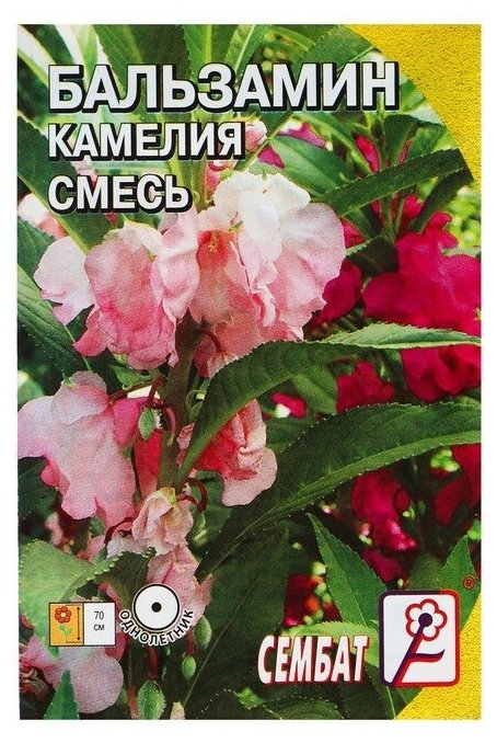 Семена цветов Бальзамин смесь "Камелия" О 02 г