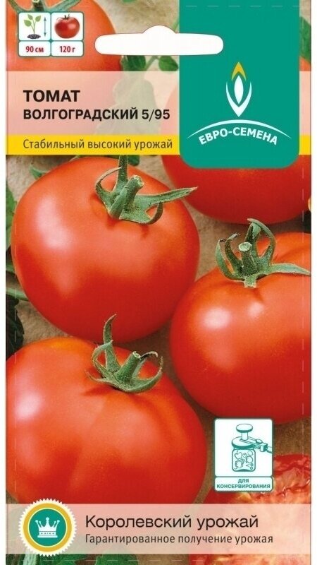 Томат Волгоградский 5/95. Семена. Среднеспелый сорт для открытого грунта и пленочных укрытий. Растение высотой до 100 см. Плоды массой 90-150 гр.