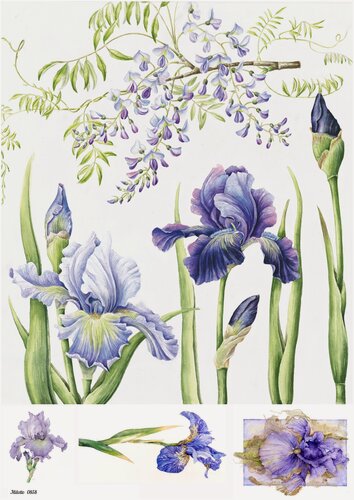 Изображение товара Рисовая бумага для декупажа А4 ультратонкая салфетка 0858 цветы ирис винтаж крафт Milotto