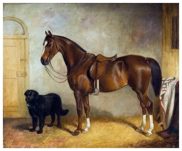 Репродукция на холсте Лошадь и собака (Horse and dog) Энсис Самуэль 36см. x 30см.