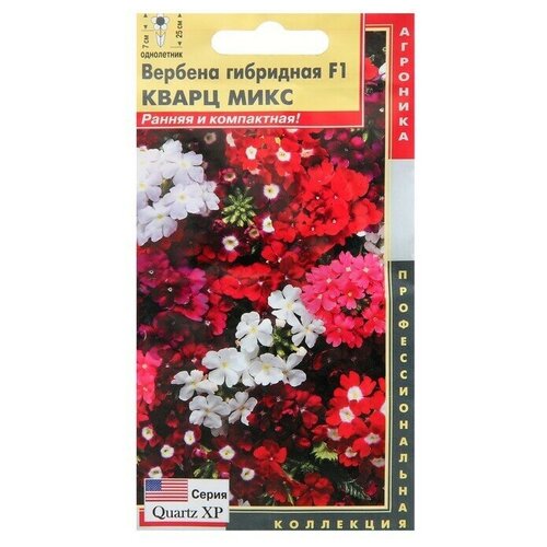 Семена цветов Вербена гибридная Кварц Микс 10 шт 6 упаковок вербена гибридная кварц бордо panamerican seed 50 шт