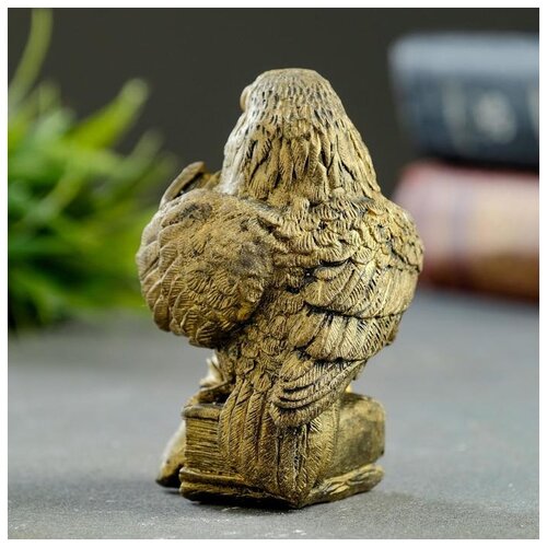 фото Статуэтка "ворон с книгой" состаренное золото, 8х4х5 см хорошие сувениры