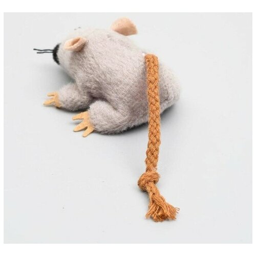 Игрушка для кошек 