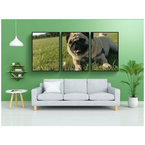 фото Набор модулных постеров для интерьера "мопс, мопсы, собака" 60x90 см. в тубусе, без рамки lotsprints