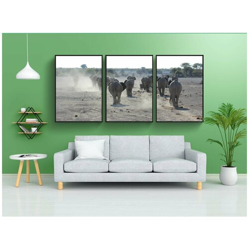 фото Набор модулных постеров для интерьера "слоны, слон, намибия" 60x90 см. в тубусе, без рамки lotsprints