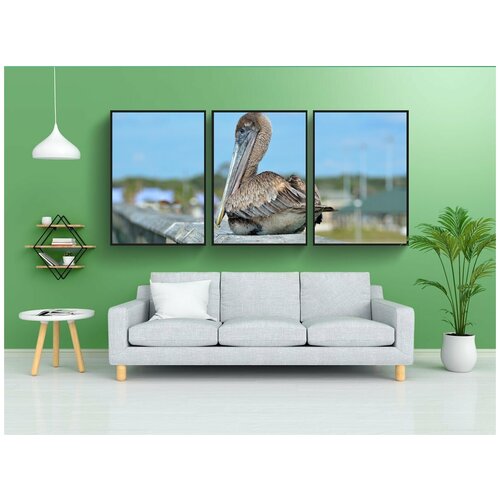 фото Набор модулных постеров для интерьера "пеликан, птица, отдыхающий" 60x90 см. в тубусе, без рамки lotsprints