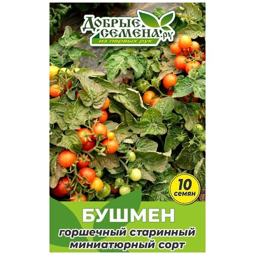 Семена томата Бушмен - 10 шт - Добрые Семена. ру семена томата ананас бильбао 10 шт добрые семена ру