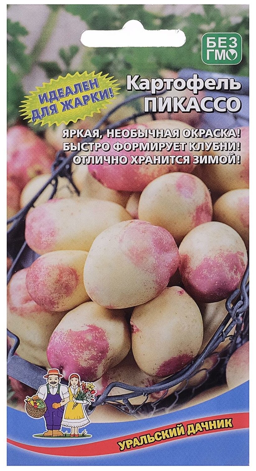 Семена Картофель 